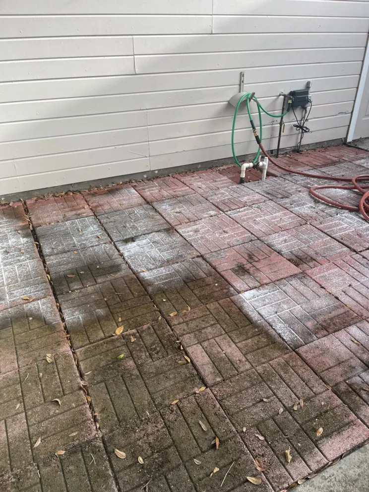 Top-rated yard cleanup service in Hudson, FL - A.M.A Creations