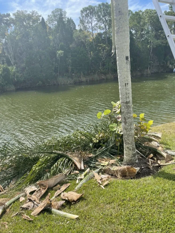 Local landscape design experts serving Hudson, FL - A.M.A Creations