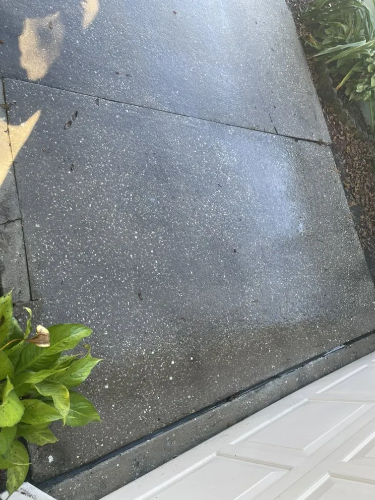 Professional landscaping services in Hudson, FL - A.M.A Creations