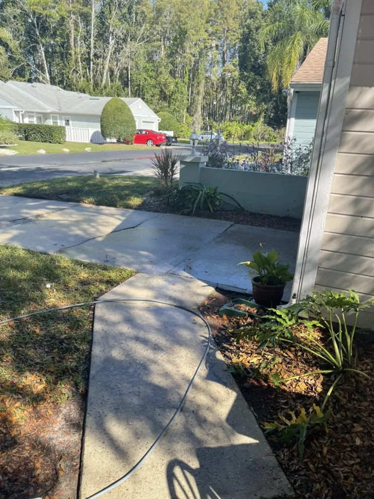 Top-rated landscape installation for outdoor upgrades in Hudson, FL by A.M.A Creations