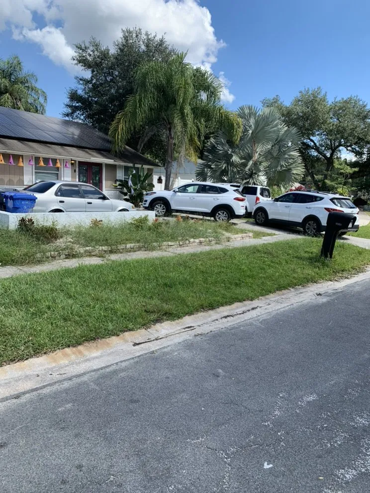 Expert lawn care service in Hudson, FL by A.M.A Creations