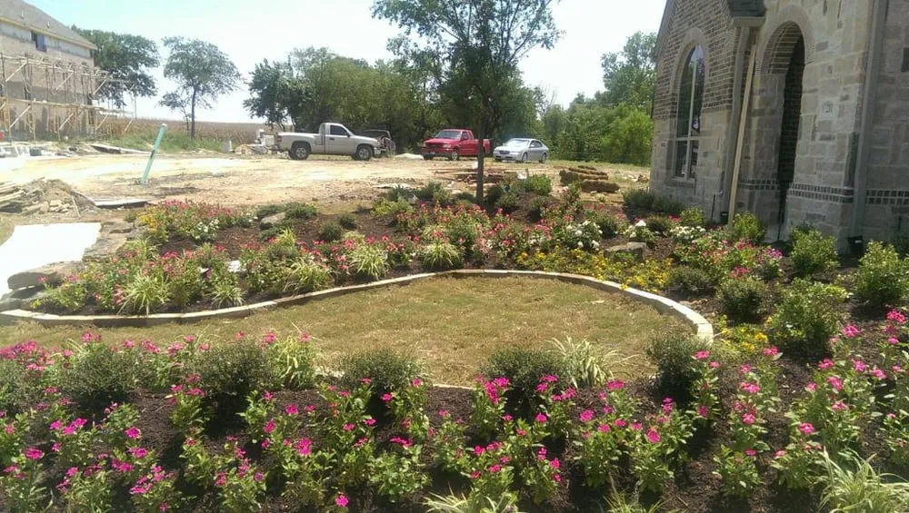 Trusted lawn care service for homes in Celina, TX by Ama Landscape and Design