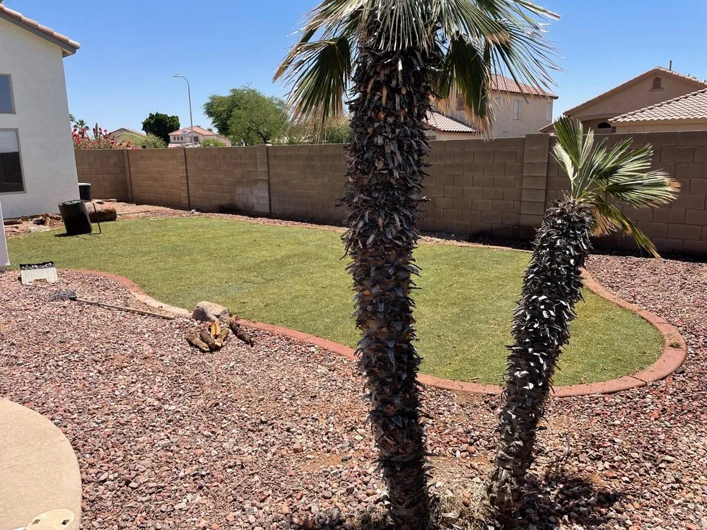 Local lawn mowing service experts serving Phoenix, AZ - AMA Landscaping