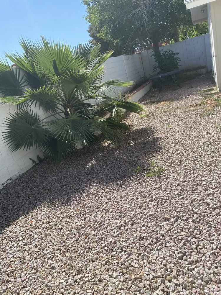 Expert landscape installation in Phoenix, AZ - AMA Landscaping