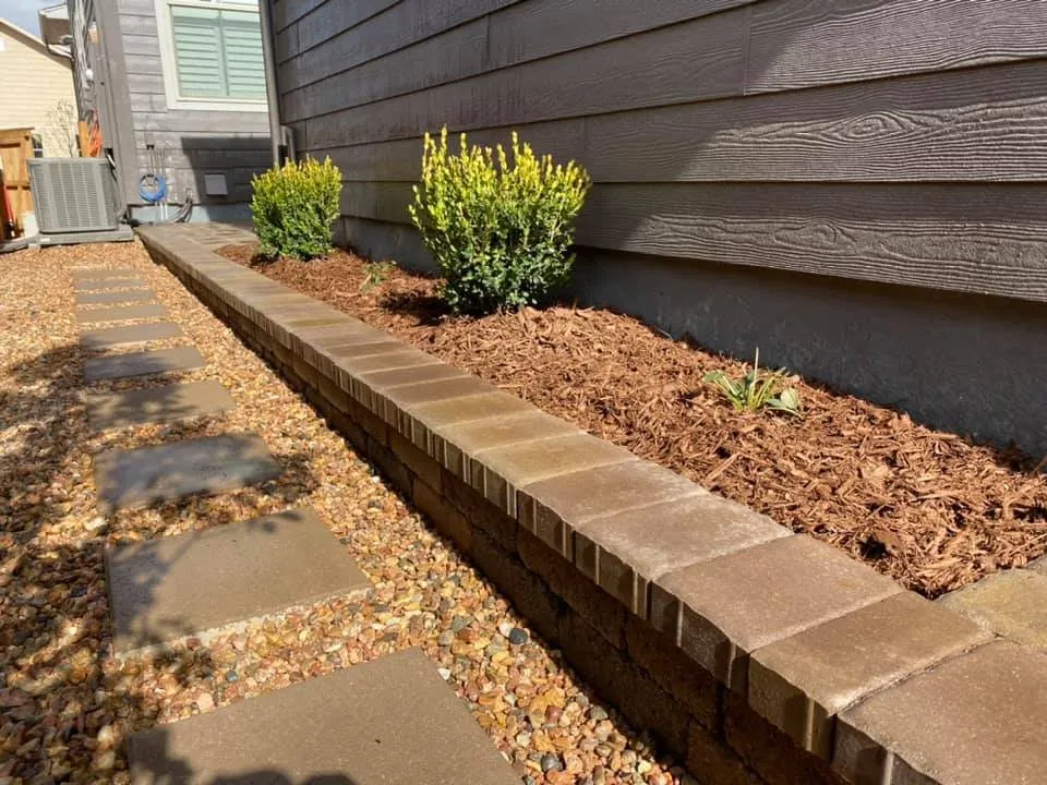 Professional lawn care service experts serving Phoenix, AZ - AMA Landscaping