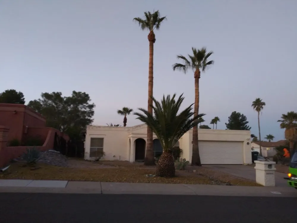 Professional residential landscaping with custom design in Phoenix, AZ by AMA Landscaping