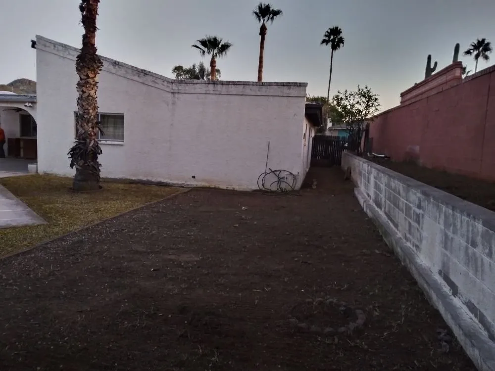 Custom garden landscaping with custom design across Phoenix, AZ - AMA Landscaping