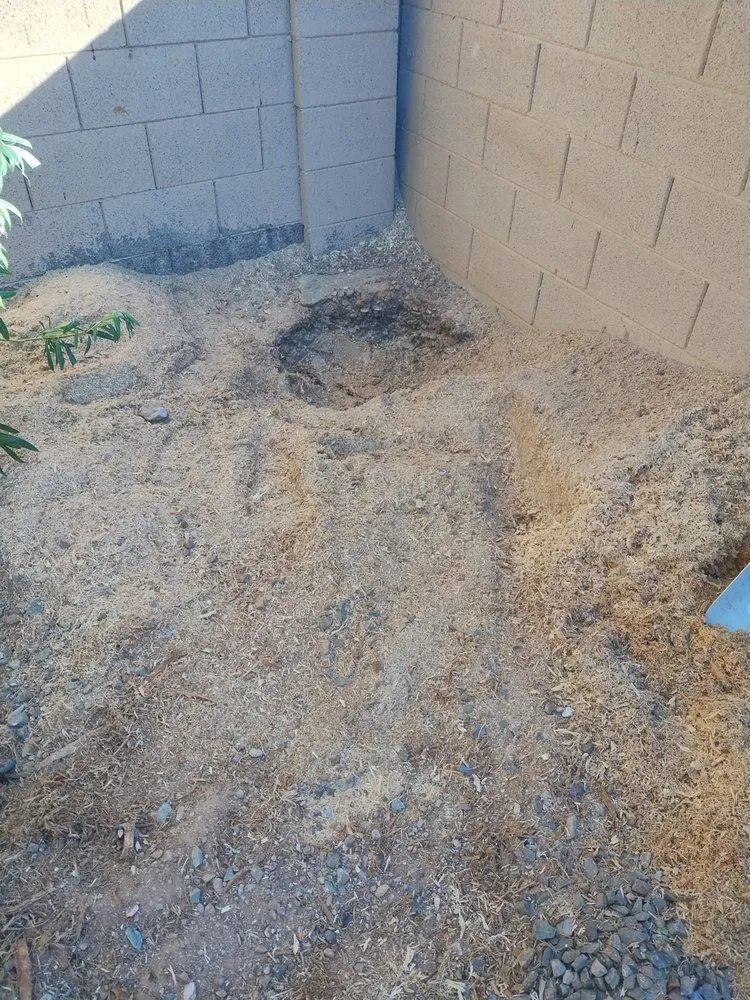 Expert residential landscaping with custom design across Phoenix, AZ - AMA Landscaping