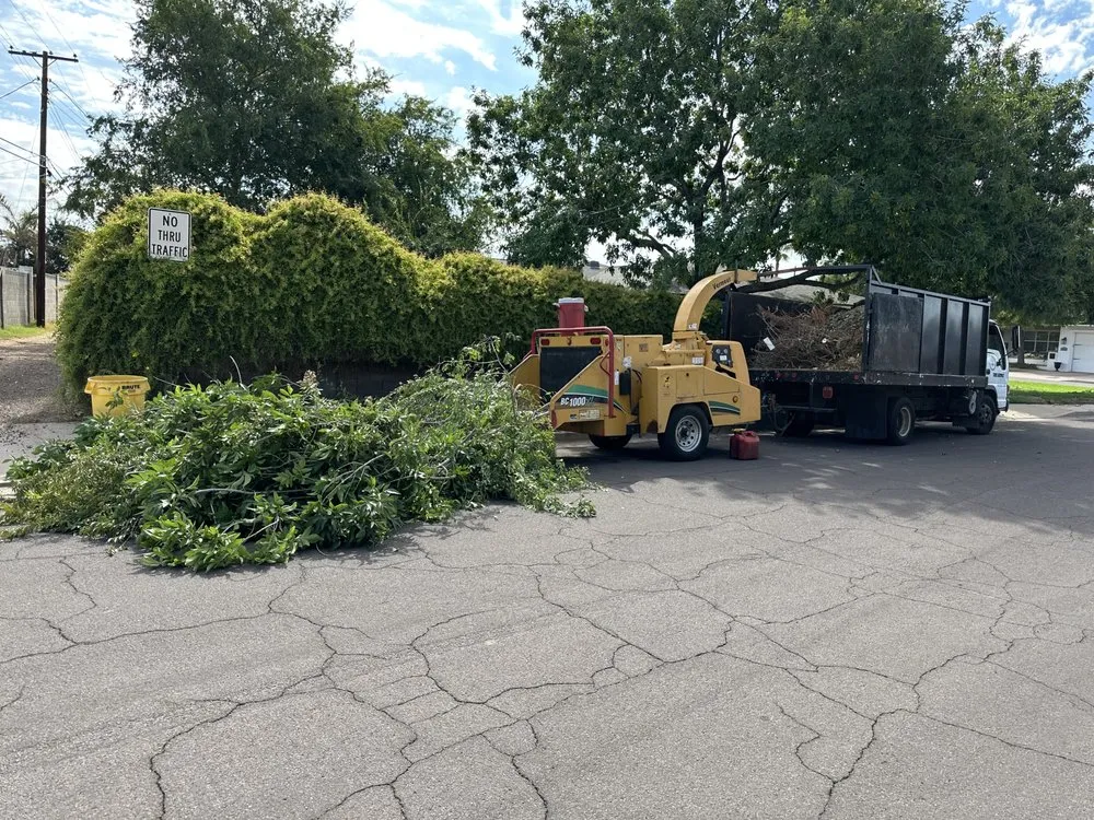Affordable yard cleanup service experts serving Phoenix, AZ - AMA Landscaping
