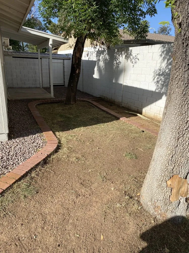 Professional outdoor landscaping for outdoor upgrades across Phoenix, AZ - AMA Landscaping