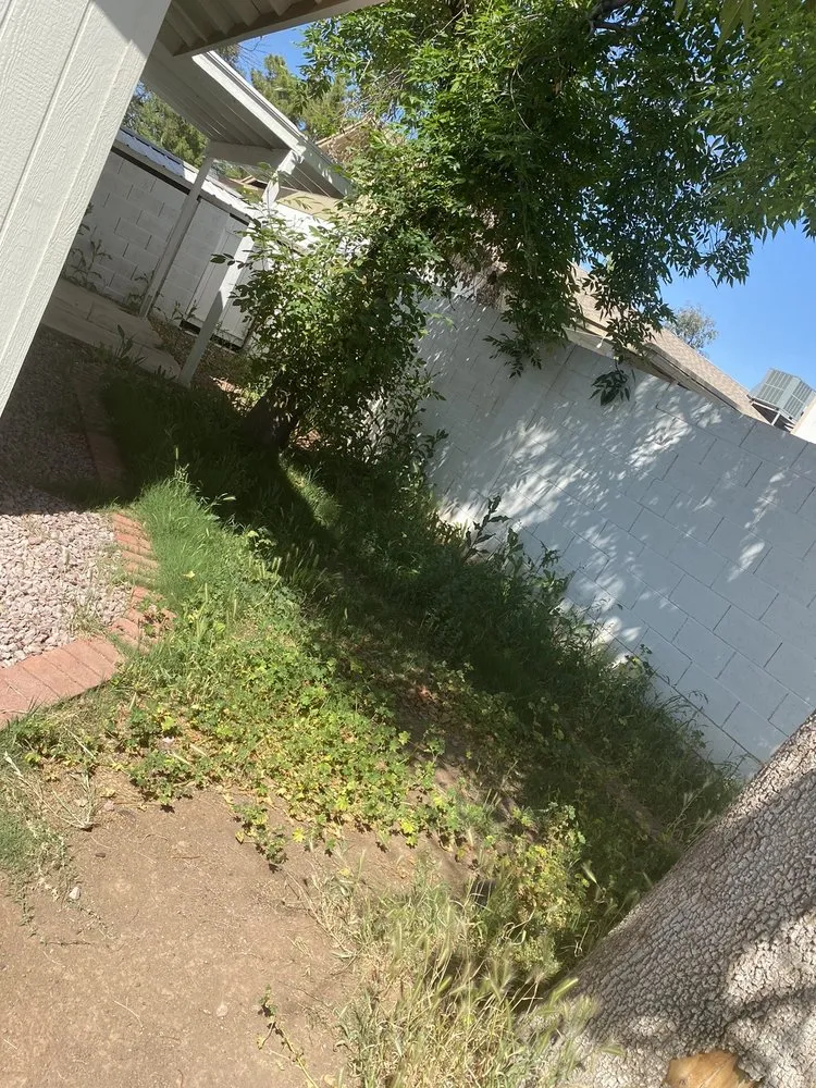 Local lawn mowing service in Phoenix, AZ by AMA Landscaping