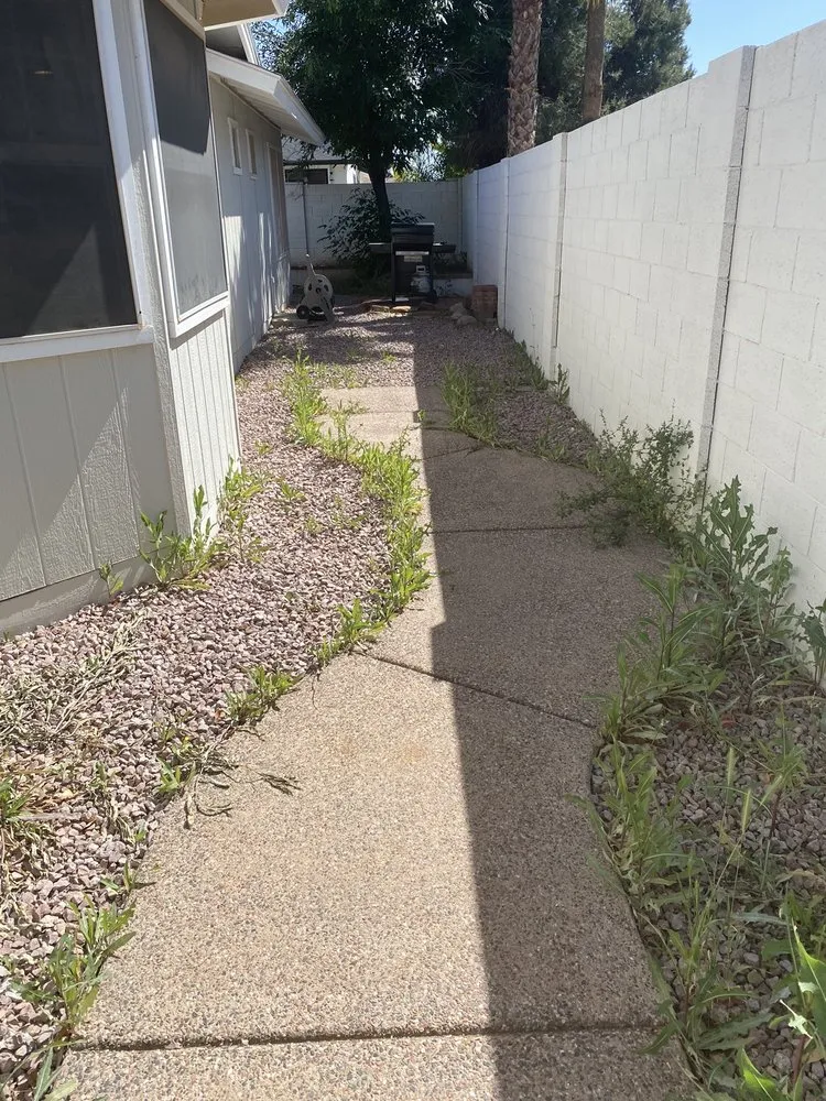 Local residential landscaping experts serving Phoenix, AZ - AMA Landscaping