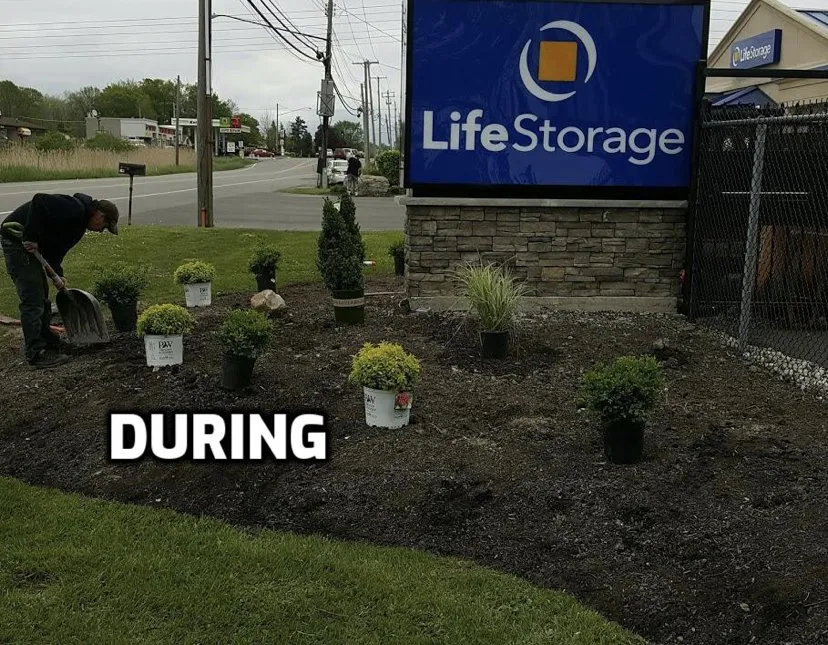 Reliable yard cleanup service in Tonawanda, NY by AMA Property Maintenance