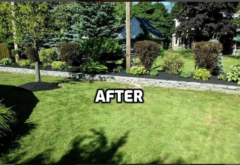 Expert residential landscaping for beautiful yards across Tonawanda, NY - AMA Property Maintenance