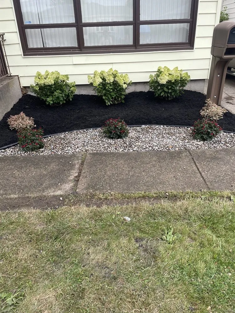 Expert lawn care service in Tonawanda, NY - AMA Property Maintenance