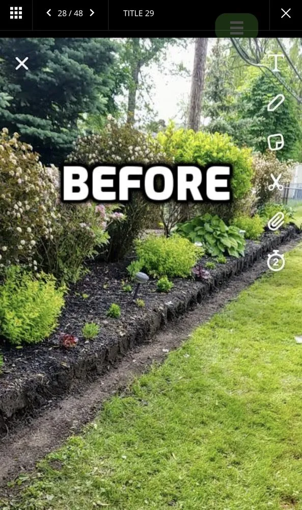 Affordable lawn care service for residential properties in Tonawanda, NY by AMA Property Maintenance