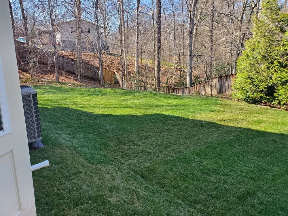 Affordable lawn care service near you in Manassas, VA by Amada Landscaping