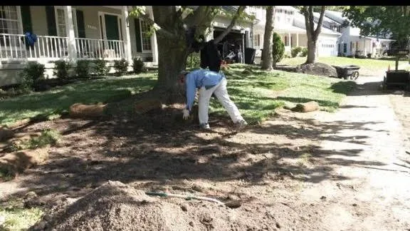 Reliable yard maintenance for beautiful yards in Manassas, VA by Amada Landscaping