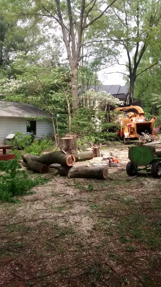 Local yard maintenance for residential properties in Manassas, VA by Amada Landscaping