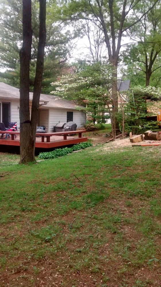Custom yard cleanup service for residential properties in Manassas, VA by Amada Landscaping