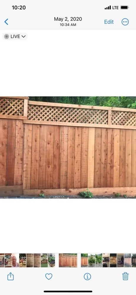 Top-rated yard cleanup service in Deer Park, CA - Amado Landscaping