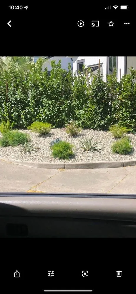 Expert yard maintenance in Deer Park, CA - Amado Landscaping