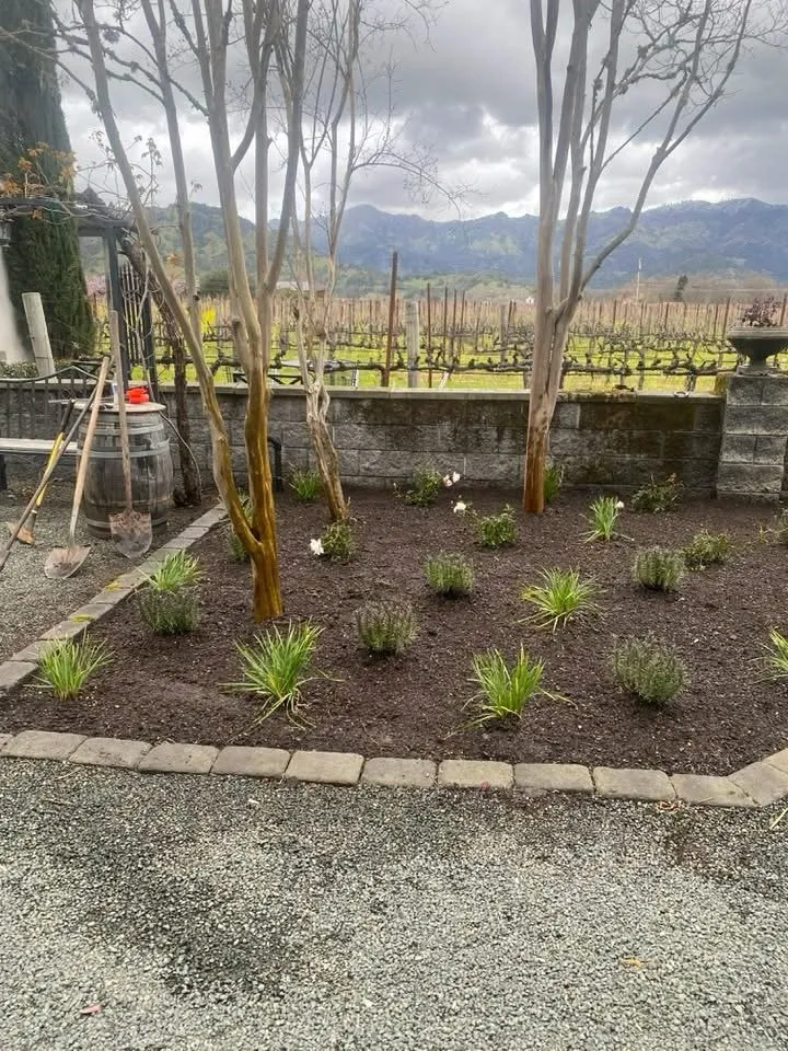 Professional outdoor landscaping experts serving Deer Park, CA - Amado Landscaping