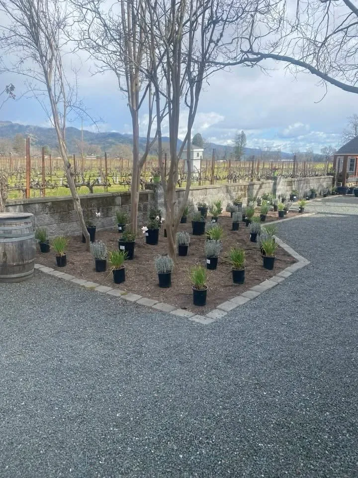 Reliable landscaping services in Deer Park, CA - Amado Landscaping