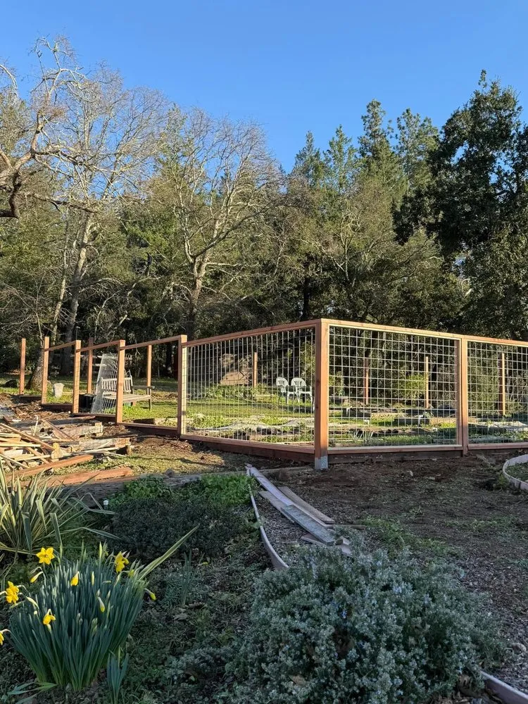 Local lawn mowing service in Deer Park, CA - Amado Landscaping