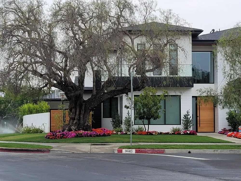 Top-rated yard cleanup service near you across Hawthorne, CA - Amado Landscaping