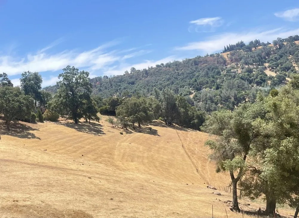 Custom residential landscaping for residential properties in Volcano, CA by Amador Land Care