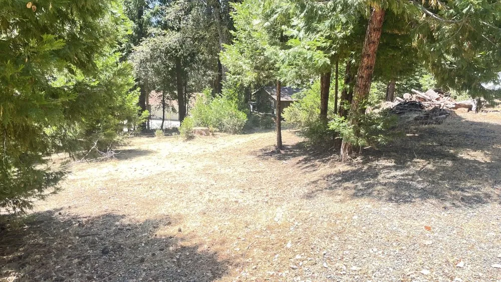 Local yard cleanup service in Volcano, CA - Amador Land Care