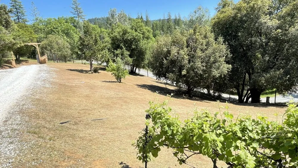 Custom landscape design in Volcano, CA - Amador Land Care