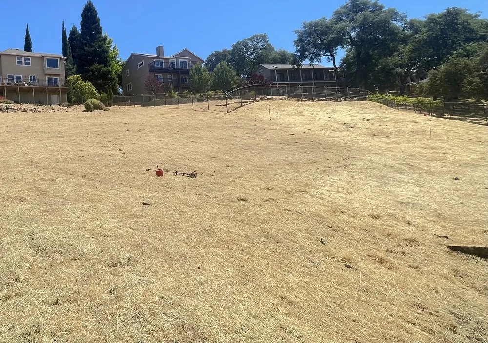 Local lawn care service in Volcano, CA by Amador Land Care