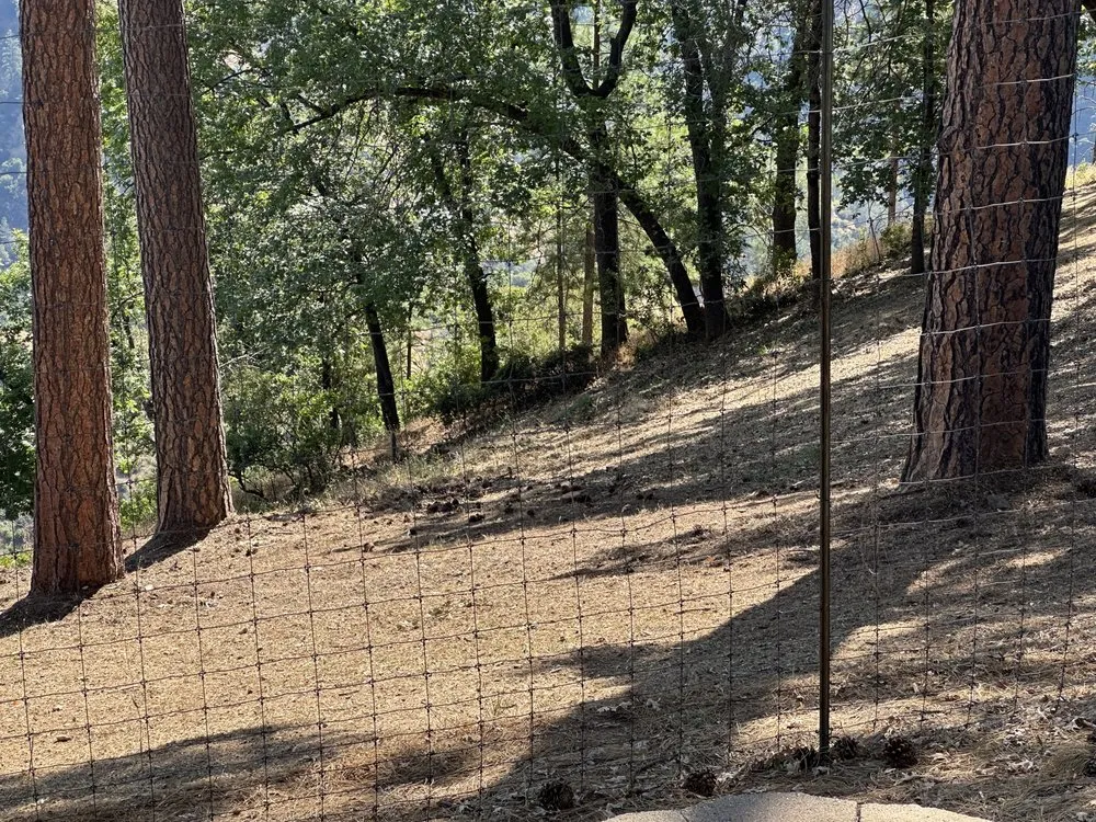 Top-rated yard cleanup service in Volcano, CA - Amador Land Care