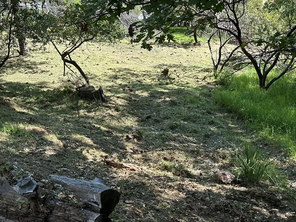 Affordable lawn care service in Volcano, CA by Amador Land Care