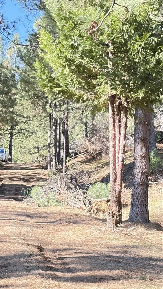 Expert residential landscaping for outdoor upgrades in Volcano, CA by Amador Land Care