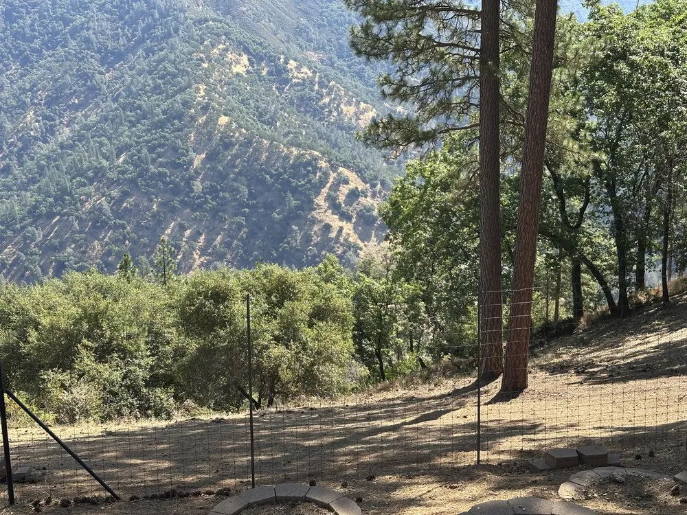 Professional lawn mowing service near you in Volcano, CA by Amador Land Care