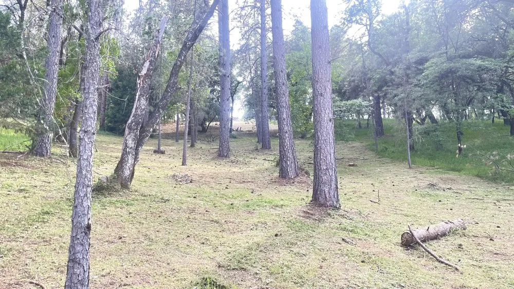 Professional outdoor landscaping in Volcano, CA - Amador Land Care