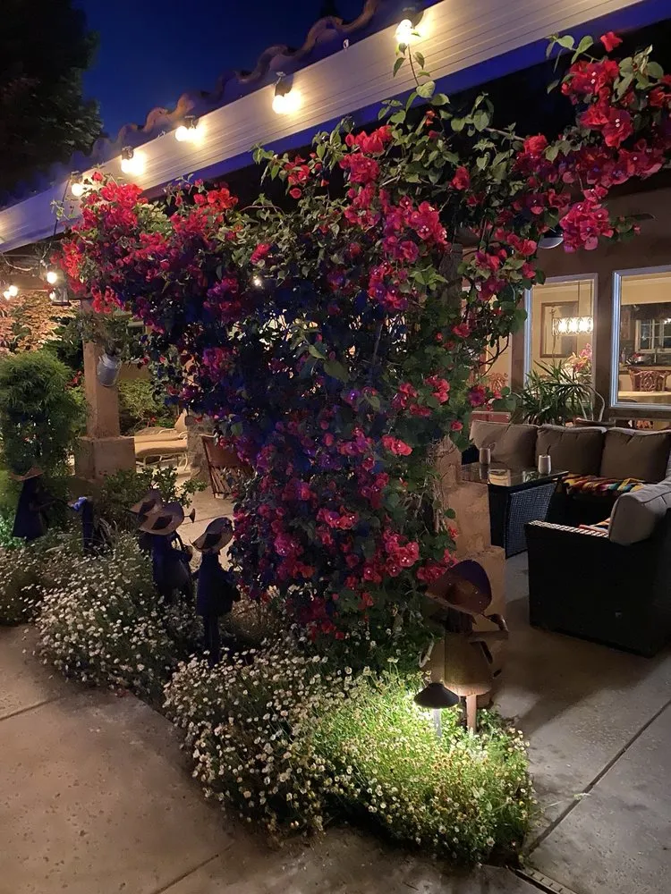 Reliable lawn care service in Ceres, CA - Amador Landscape & Maintenance