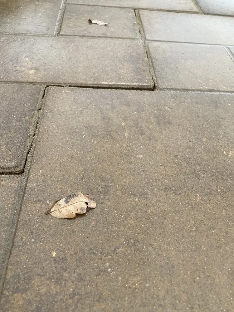 Reliable landscape design experts serving Pine Grove, CA - Amador Landscape and Design