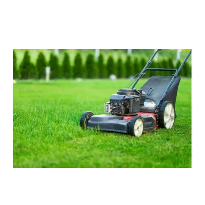 Amador Landscaping Logo