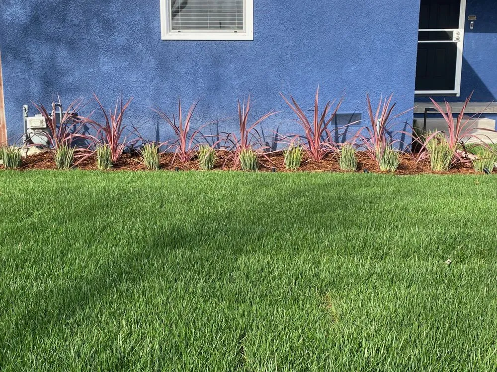 Top-rated landscape installation with custom design in Signal Hill, CA by Amador Sanchez Landscaping