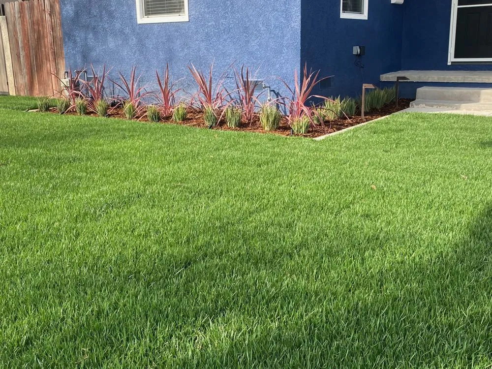 Professional lawn care service for residential properties in Signal Hill, CA by Amador Sanchez Landscaping