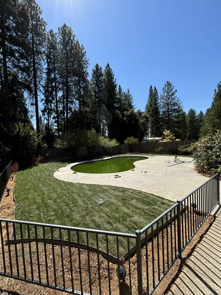 Expert yard maintenance in Pine Grove, CA by Amador yard maintenance