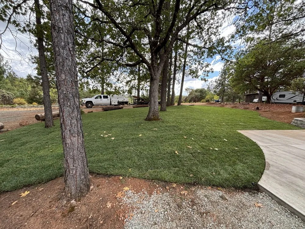 Custom landscape installation for outdoor upgrades in Pine Grove, CA by Amador yard maintenance