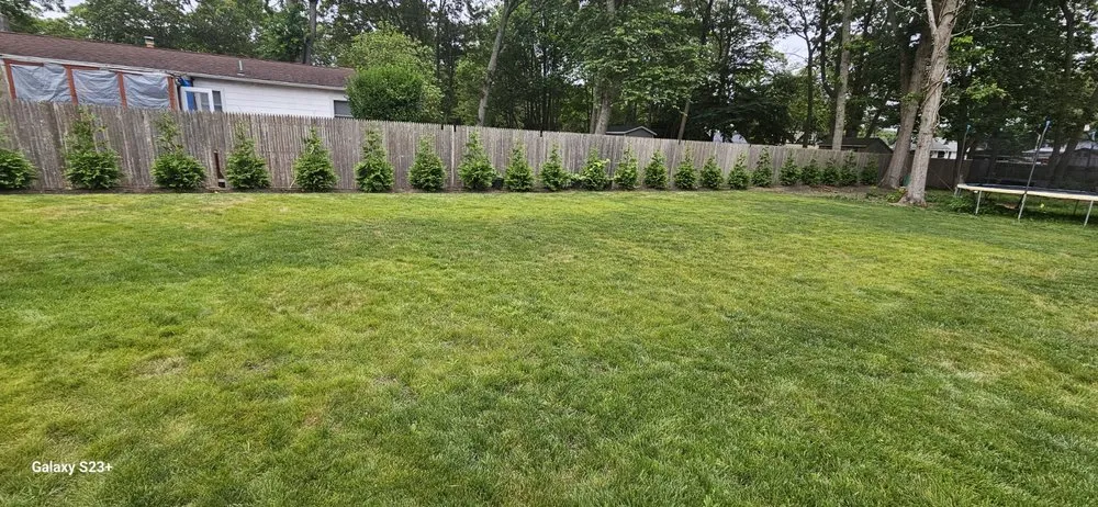 Custom lawn mowing service experts serving Mastic Beach, NY - Amagansett Property Care