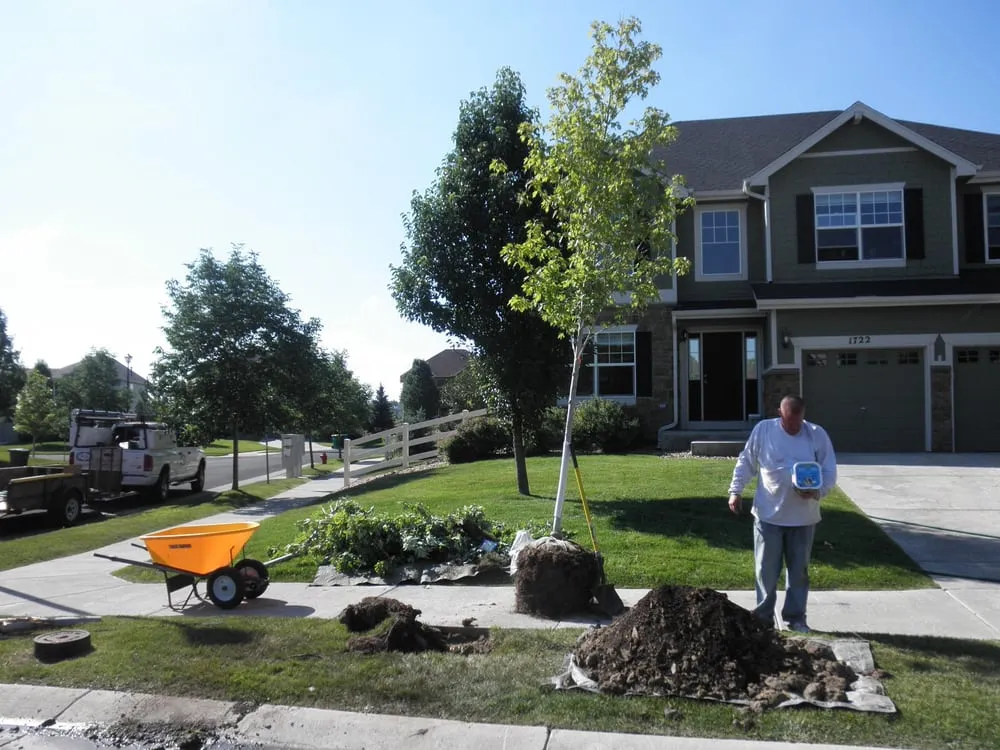 Affordable landscape design in Broomfield, CO - Amalgam Services