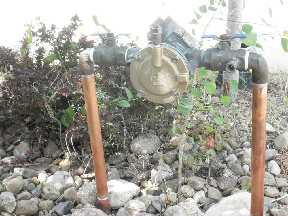 Top-rated yard maintenance for homes across Broomfield, CO - Amalgam Services