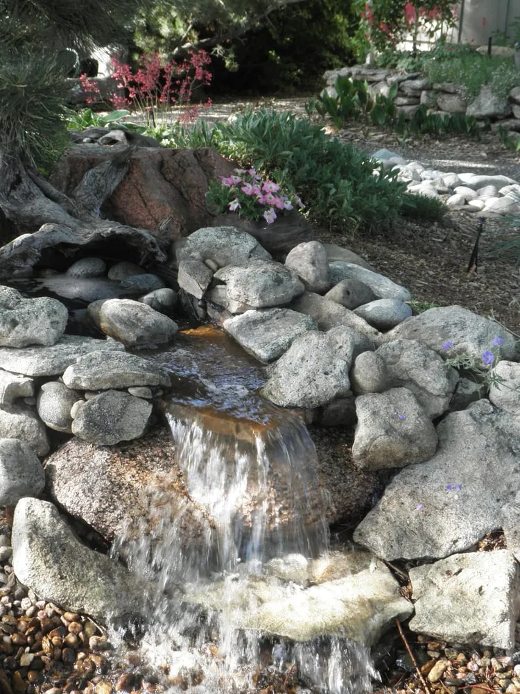 Expert yard maintenance experts serving Broomfield, CO - Amalgam Services